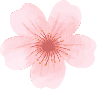 belleza coreana 1 (4)