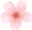 belleza coreana 1 (6)