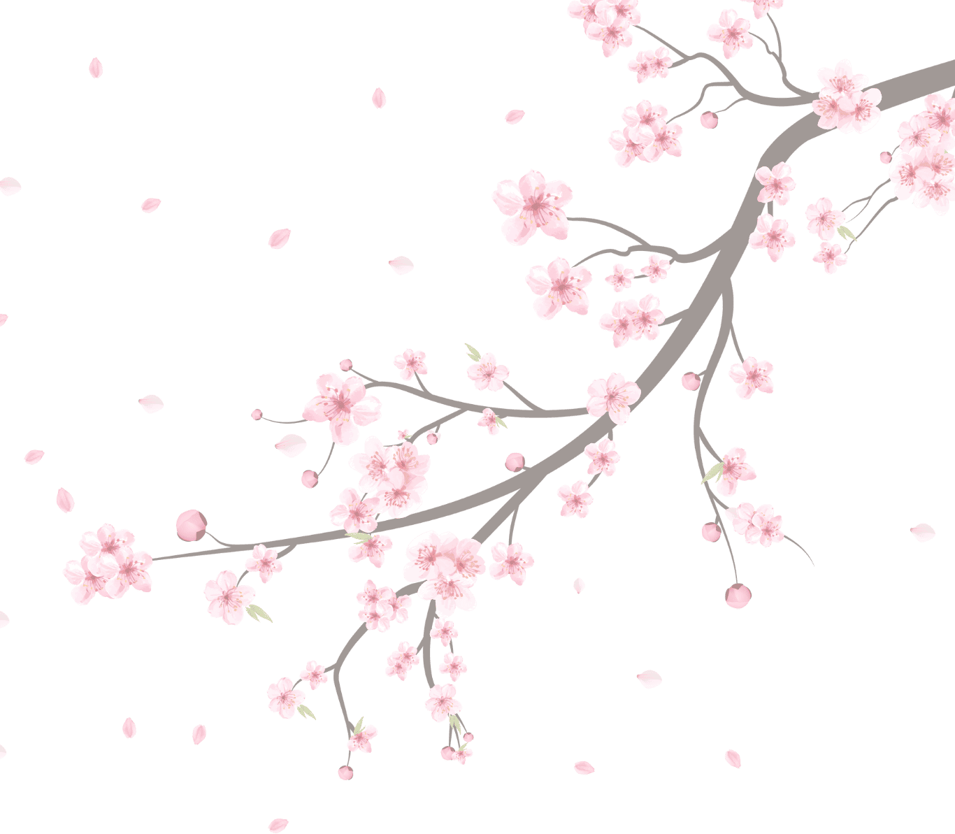 belleza coreana 1 (8)